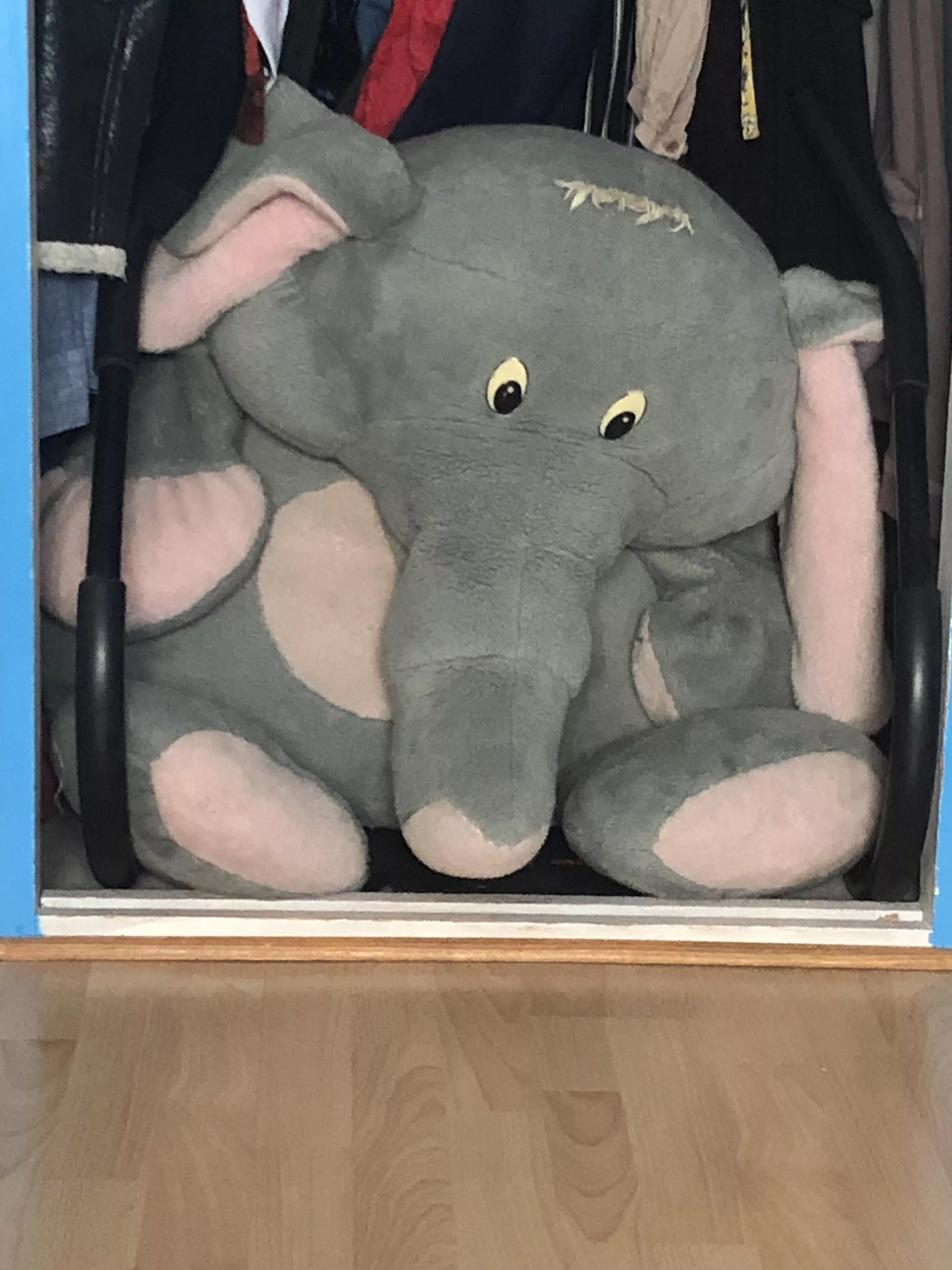 Who want to see me having fun with my big plushy while wearing panties? It had a hole between the legs posted by juliesissy29