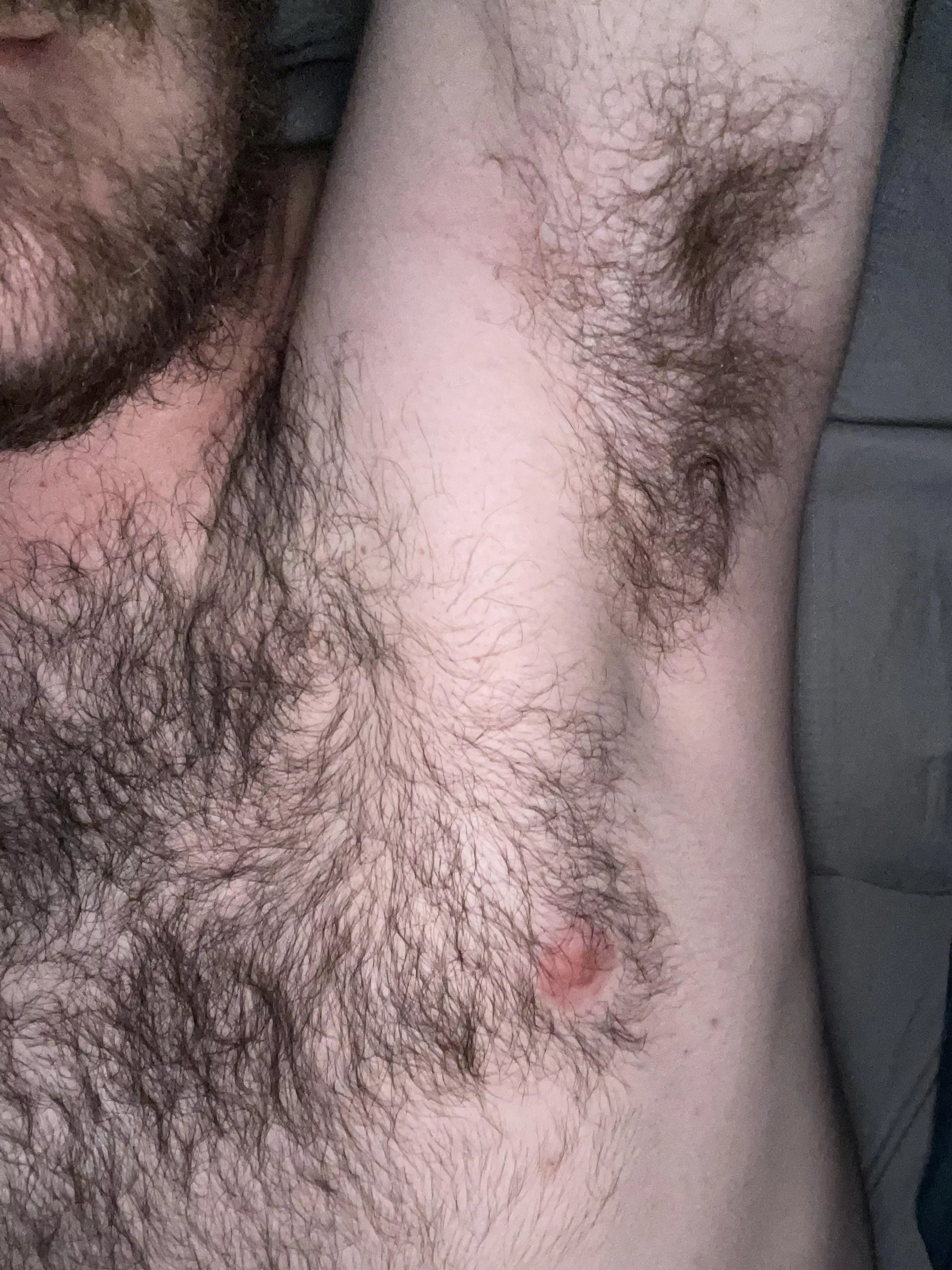 Who wants a lick ? posted by RandomPlatypus22