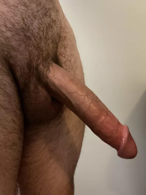 Who wants a ride? by mrdobbs00