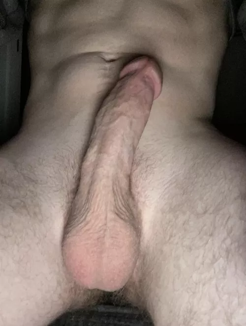 Who wants a seat? by AlexNox2436