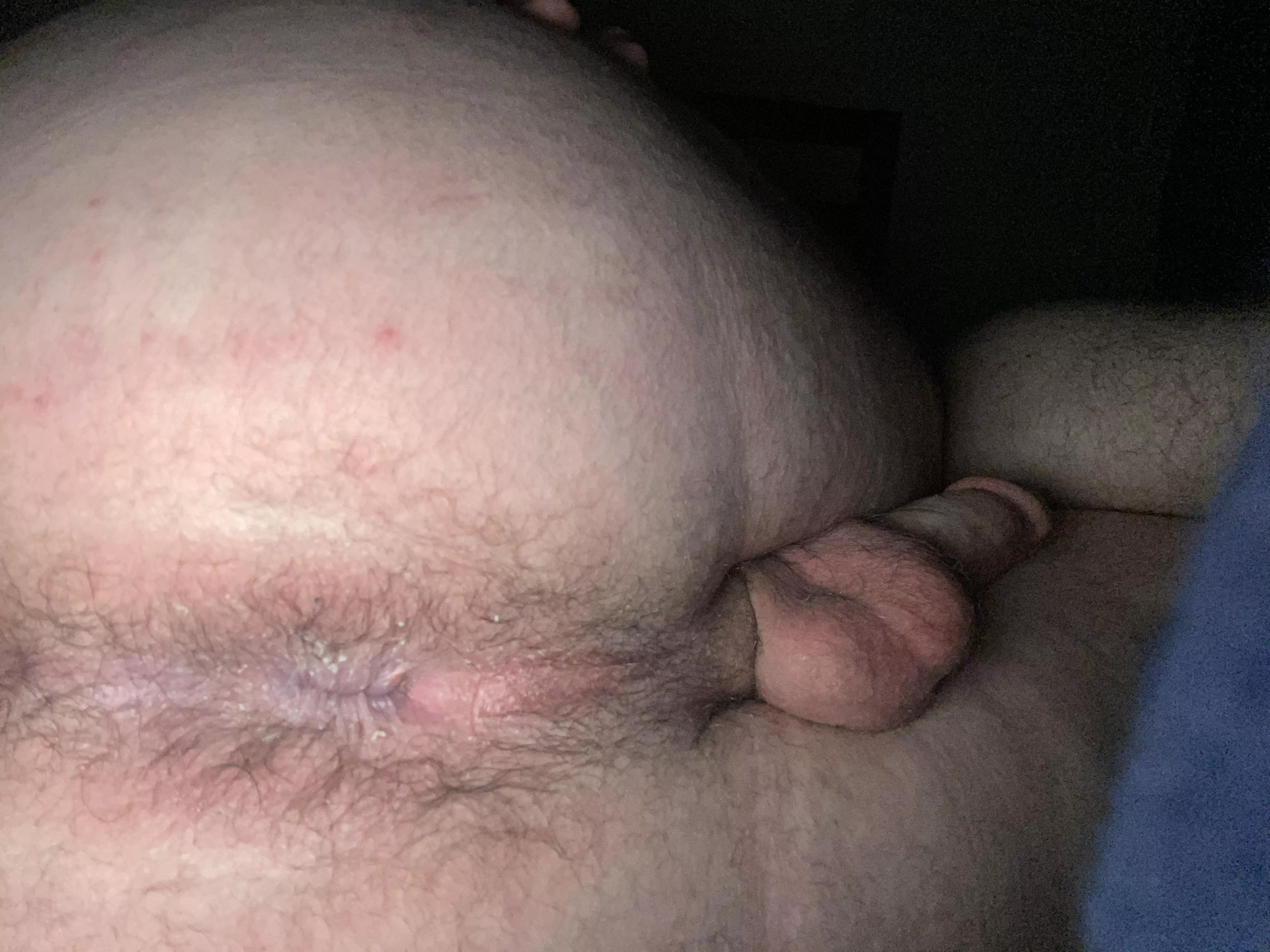 Who wants a sniff posted by Stunning_Education67