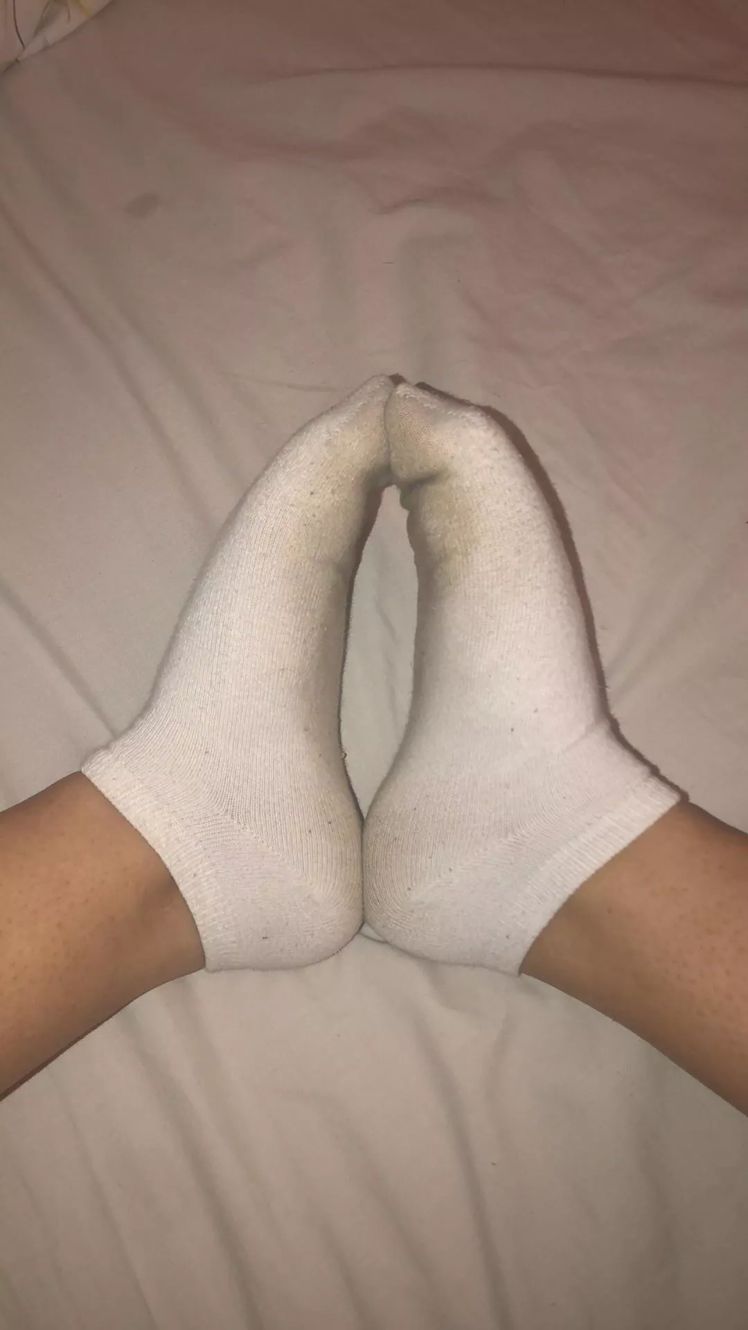 Who wants a sniff 😉😏 posted by SofiaVos