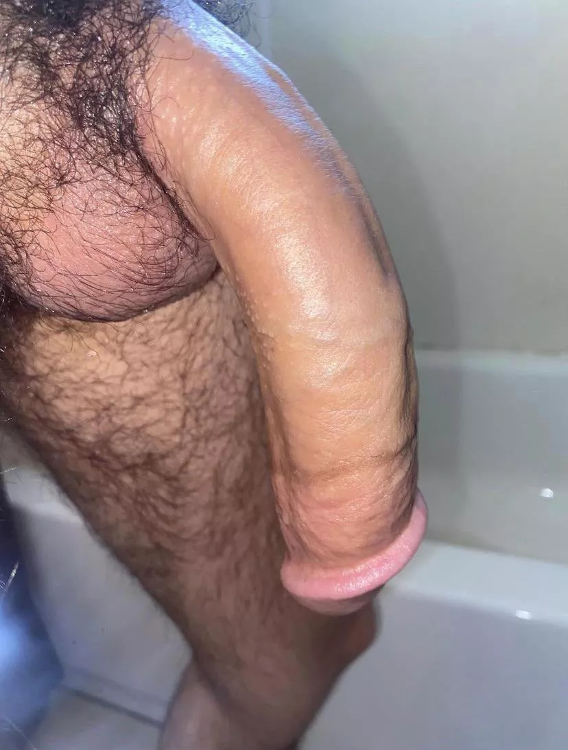 Who wants an elephant trunk?😏 posted by Longwood22