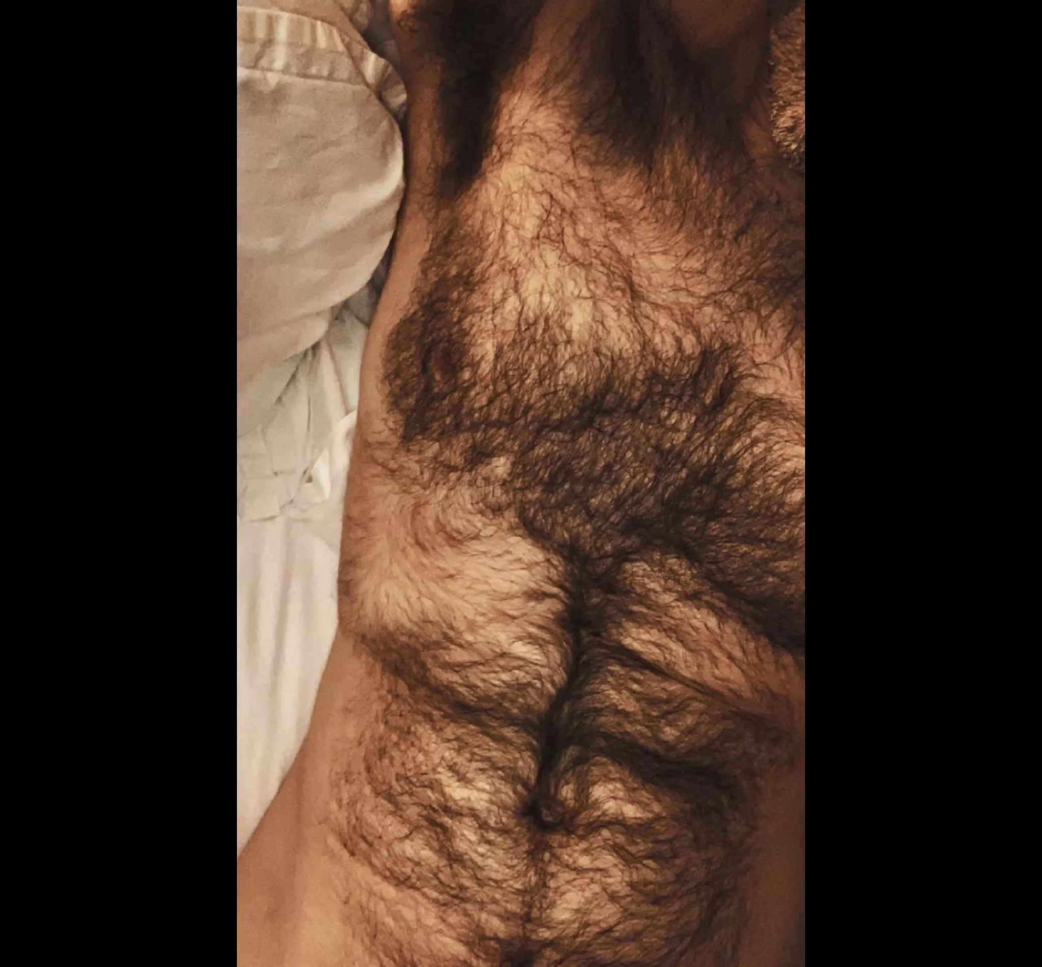 Who wants cuddles? posted by jerseyjaxoff