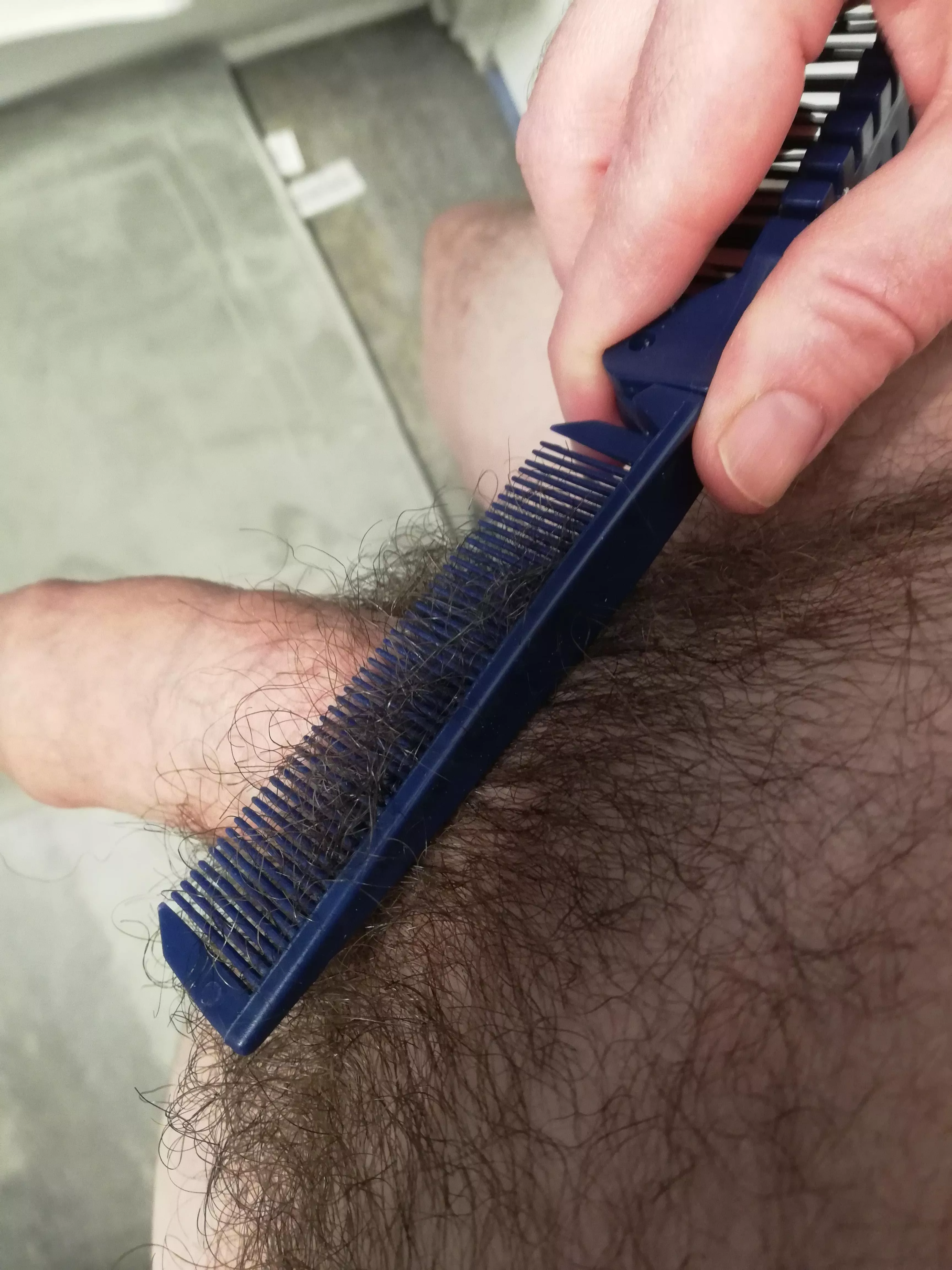 who wants Daddy comb his fur? posted by digedy39