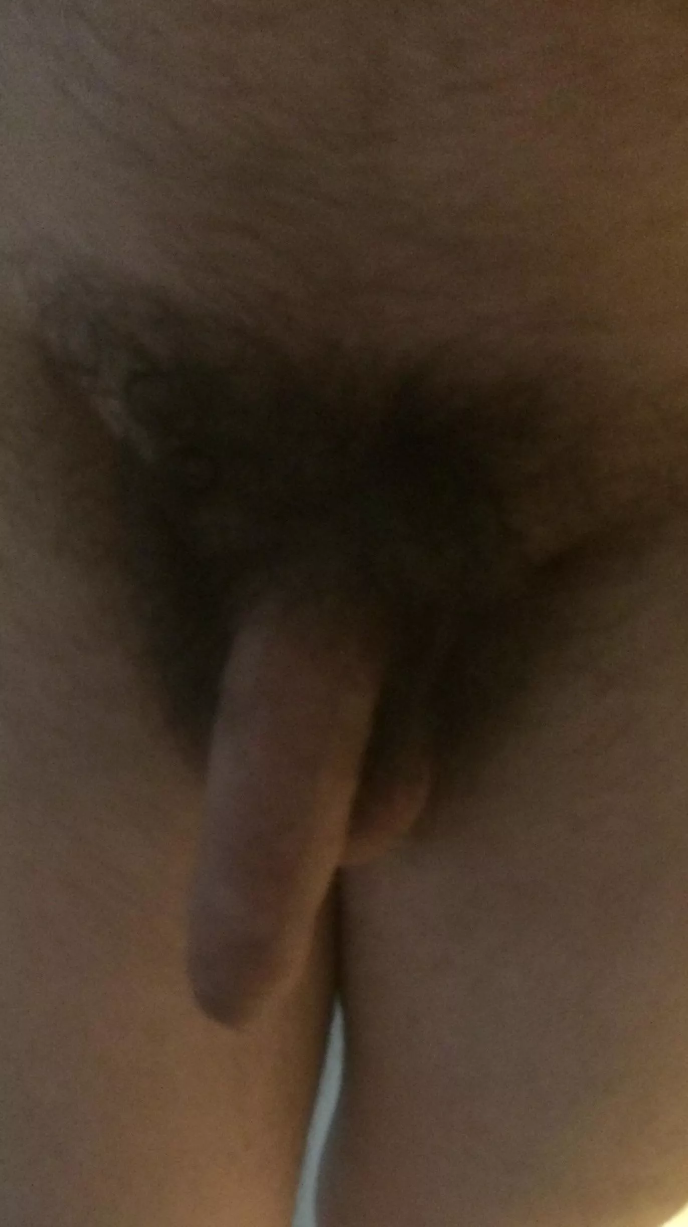 Who wants it? posted by Scally-lads