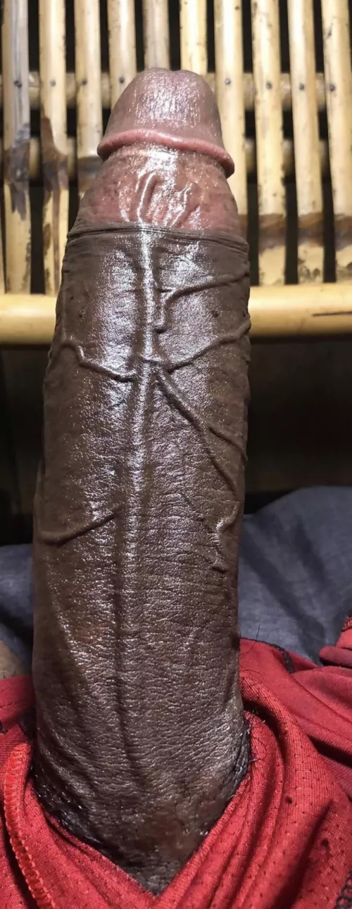 Who wants it by Over-Palpitation7043