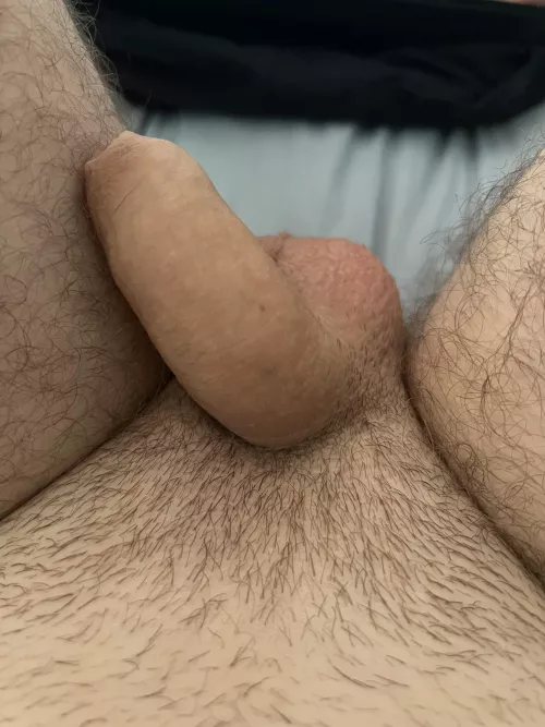 Who wants my small softie by hellotheren