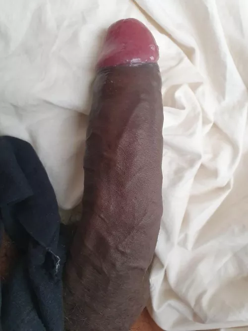 who wants my wet tip? 😋 by Gokulnatarajan1