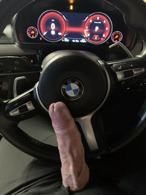 Who wants to come for a ride? by Tasty-Elephant-6533