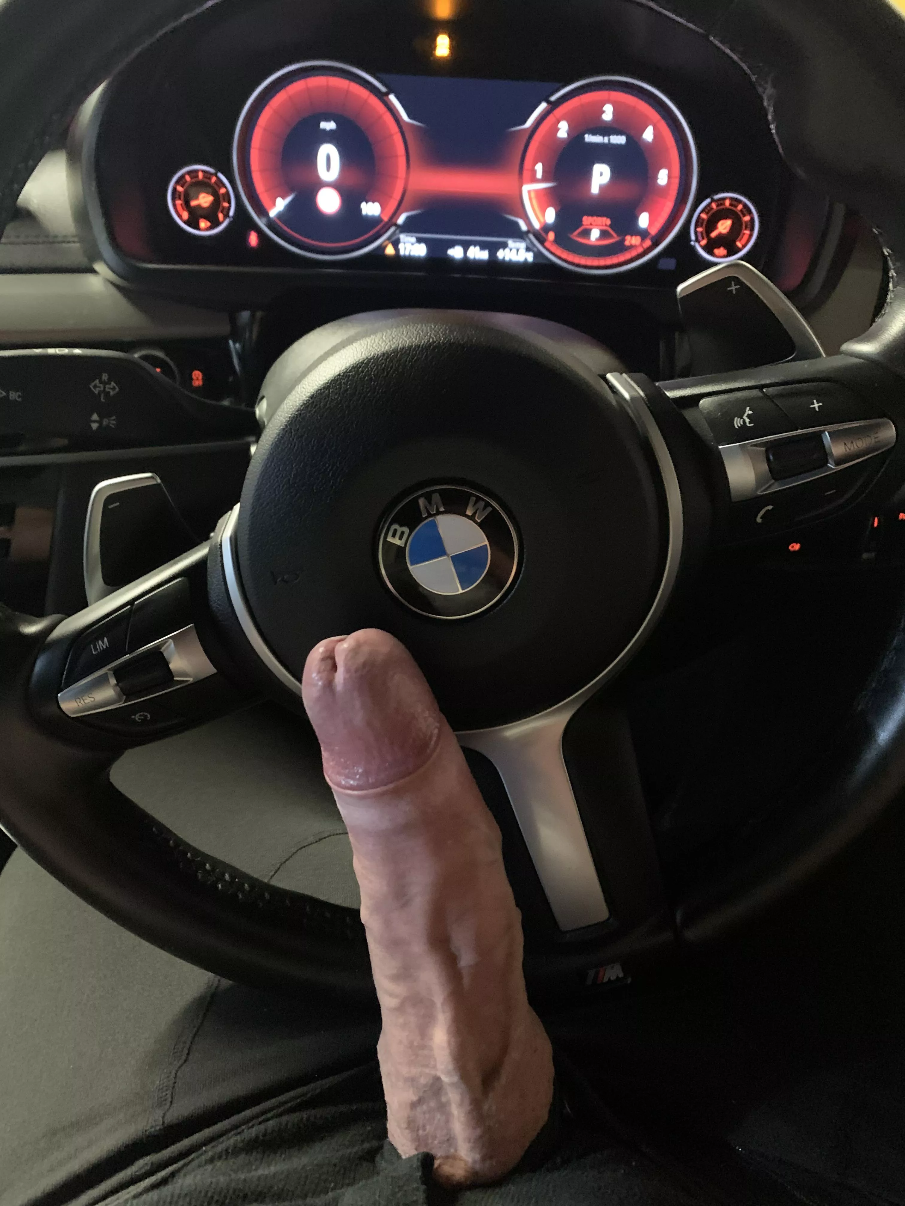 Who wants to come for a ride? posted by Tasty-Elephant-6533