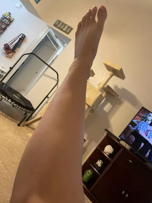 Who wants to come worship my feet? by Crazycatlady20221990