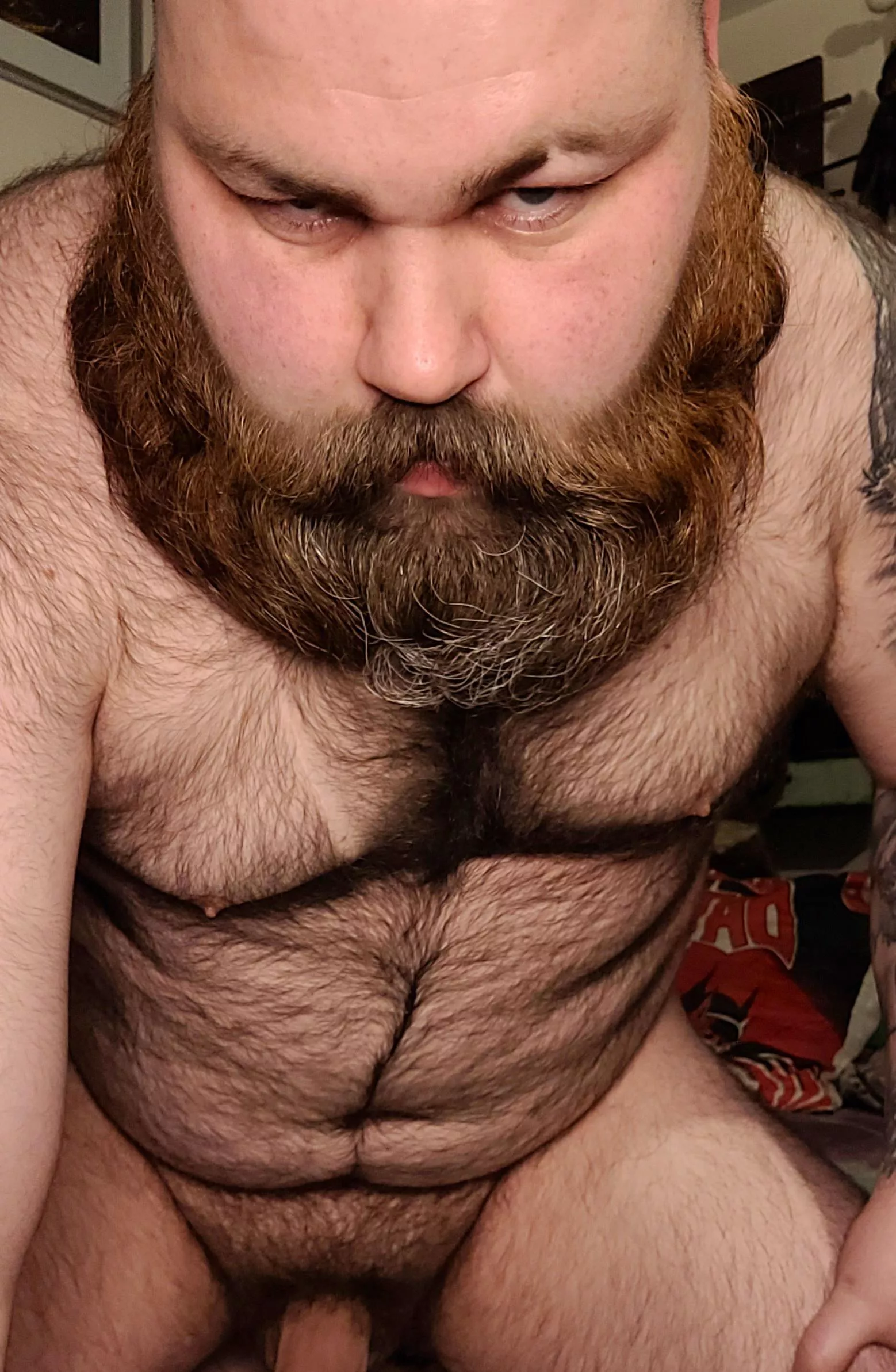 who wants to come wrestle with a bear 🐻 posted by noblestags