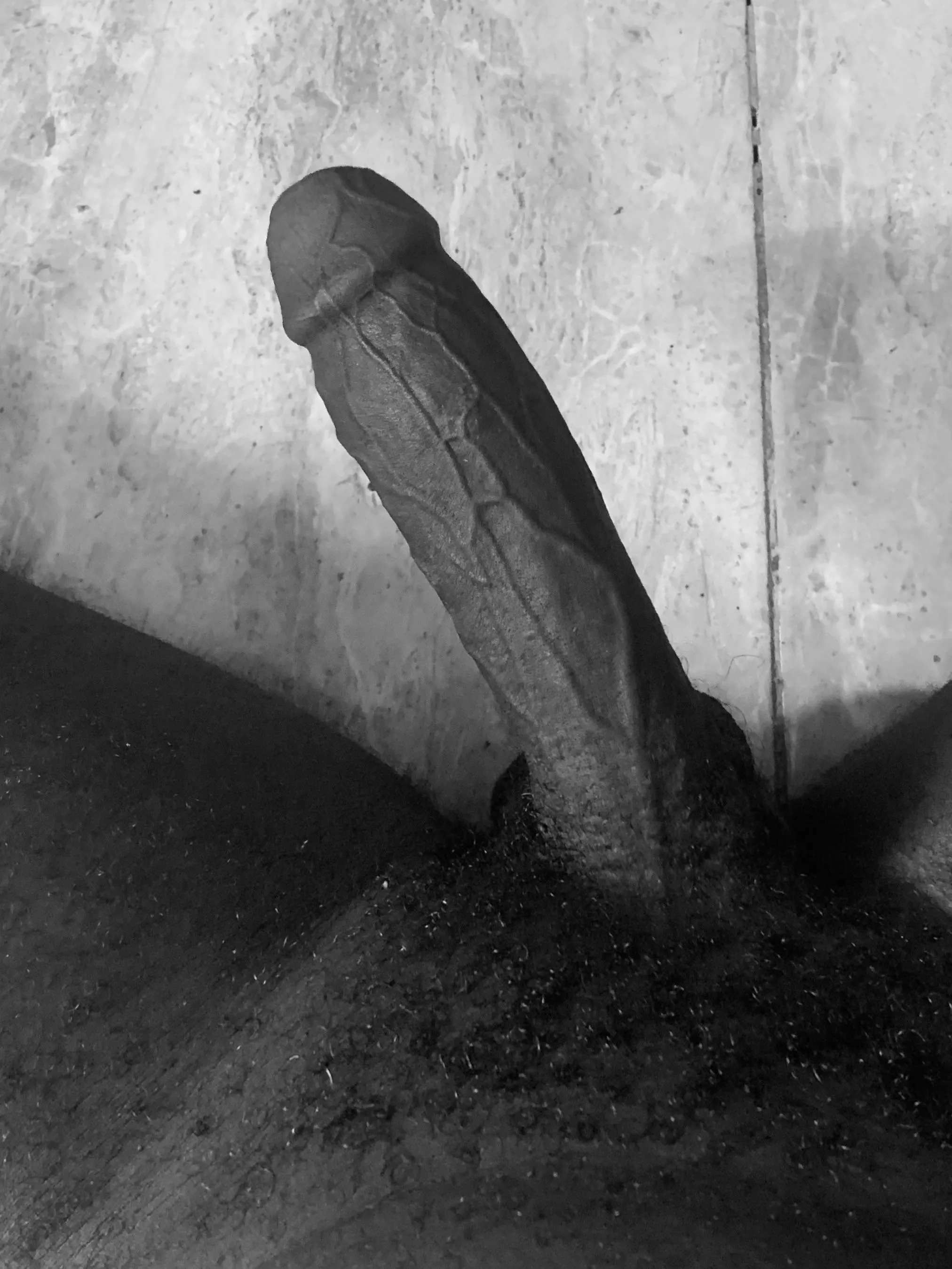 Who wants to cum egg hunting in this dick? posted by Sneakykink1