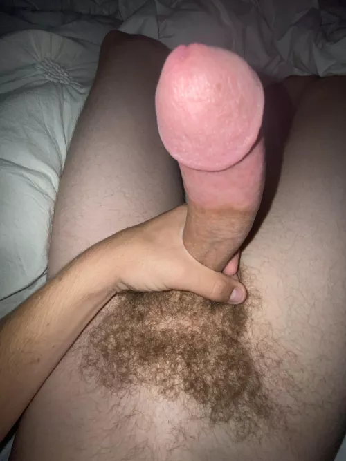 Who wants to get pumped full of cum? by ryanlewis55