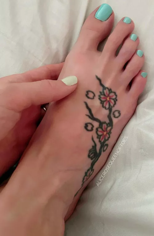 Who wants to help me rub them? by AliceRoseQueenOfToes