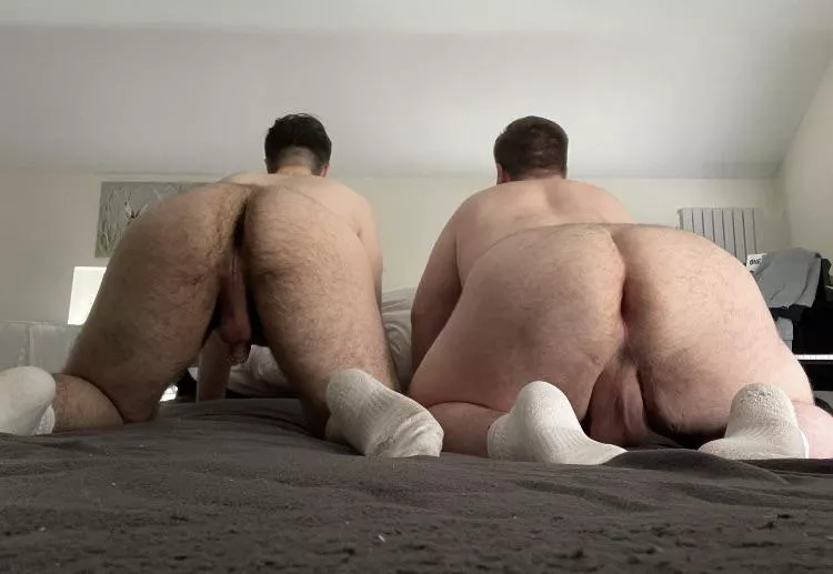 Who wants to lick our hairy holes? 🤤 posted by Shotty8