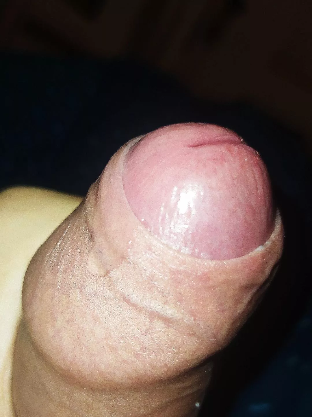 who wants to lick the precum of my tip posted by Jdhdhsjshdgdhd