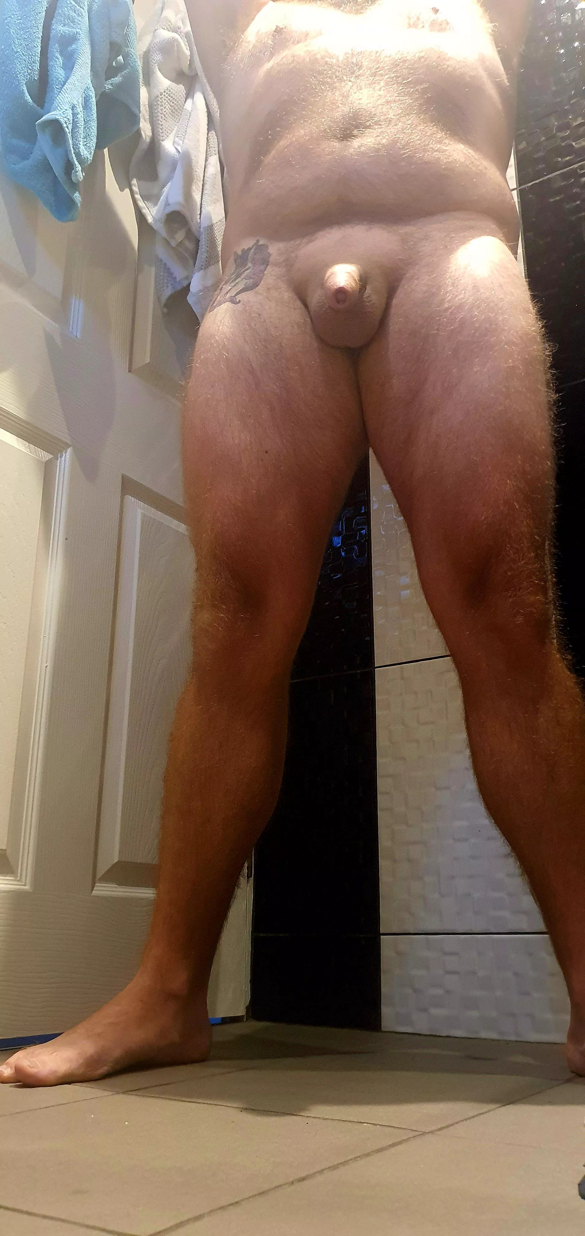 Who wants to play? posted by Chimp_on_Viagra