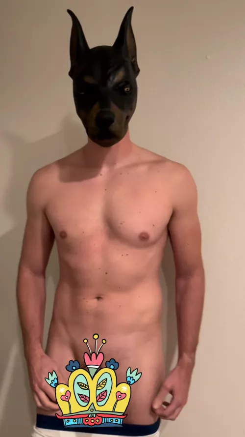 Who wants to play Follow the Leader? 🐺👑🐾 by wolfboyxo