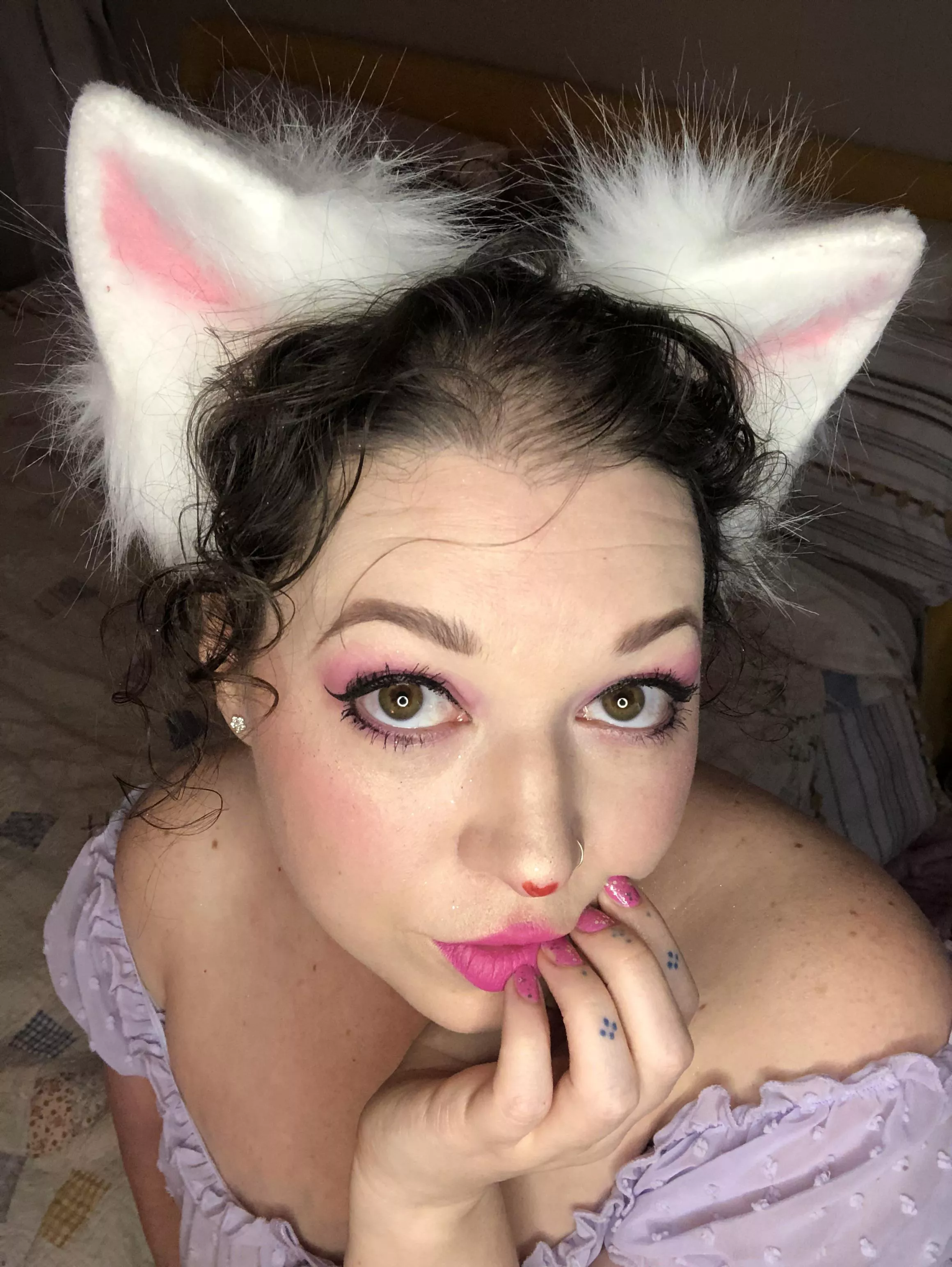 Who wants to play with this little kitten? posted by Play_bb