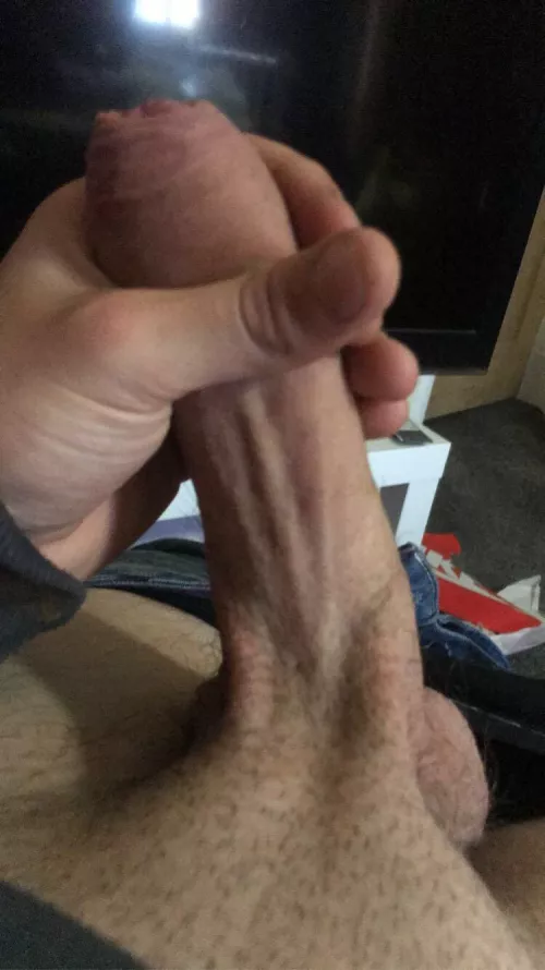 Who wants to pull it back? by Dull-Performance-311