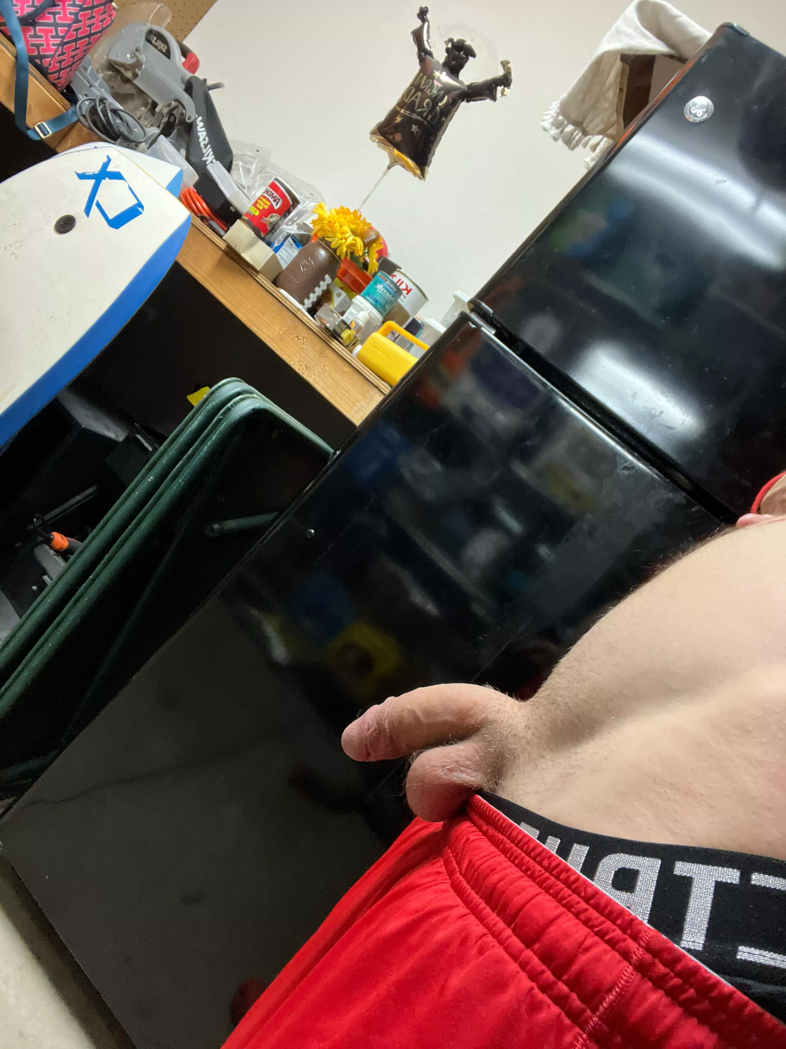 Who wants to see it grow? posted by Glum_Acanthisitta770