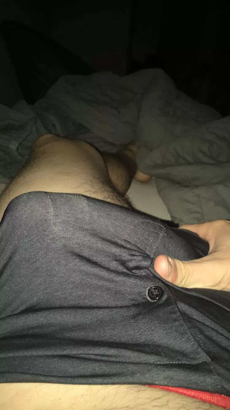 who wants to see more? posted by plasticprotractor