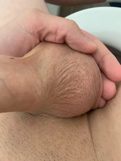 Who wants to see my cock dm by Camwixxenistgeil