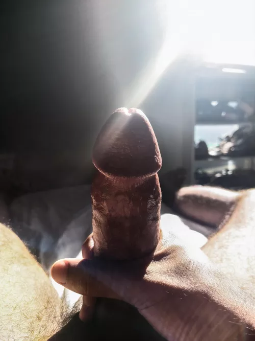 who wants to see my cock right, chat! for free.. 😸🔥 by babe_worm