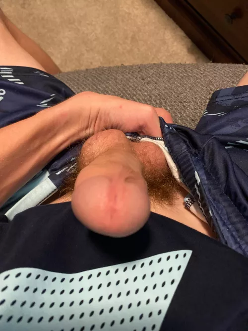 Who wants to suck it? DMs open by Chrismcc124