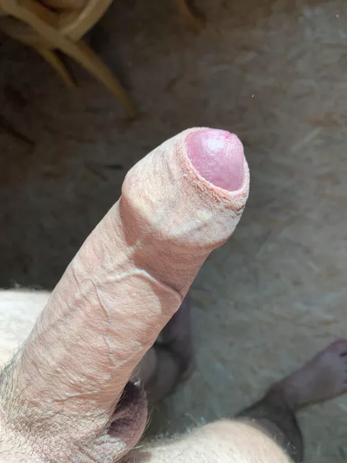 Who wants to taste a bit of sunlight for breakfast? (M33) by nightstrides