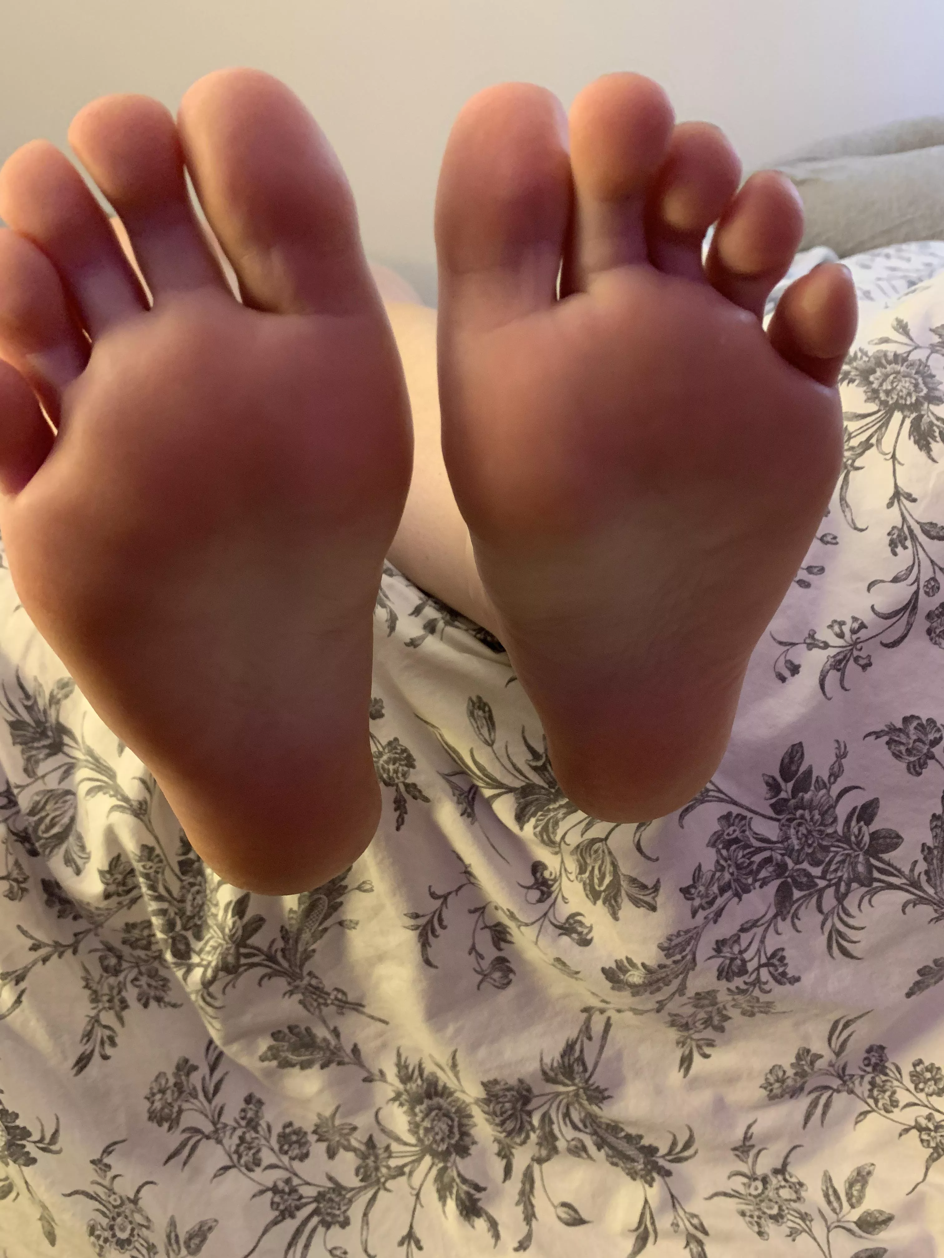 Who wants to tickle my feet? 🪶 posted by softsluttytoes