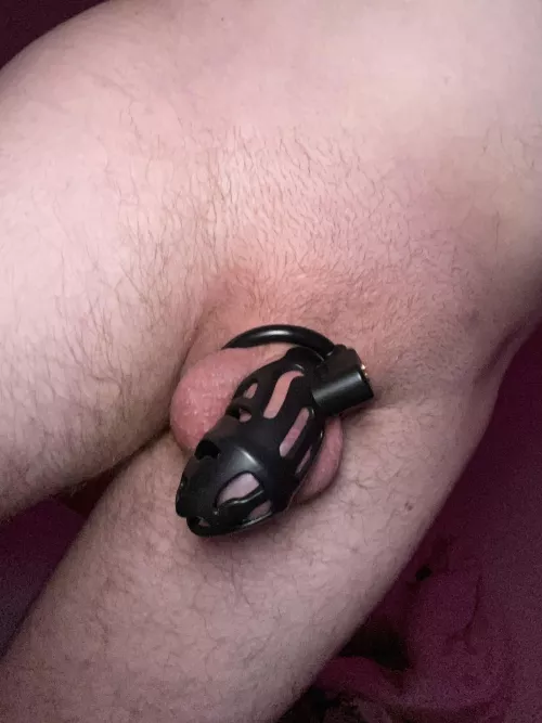 Who wants to use me? 🤤 by Calm-Independent3103