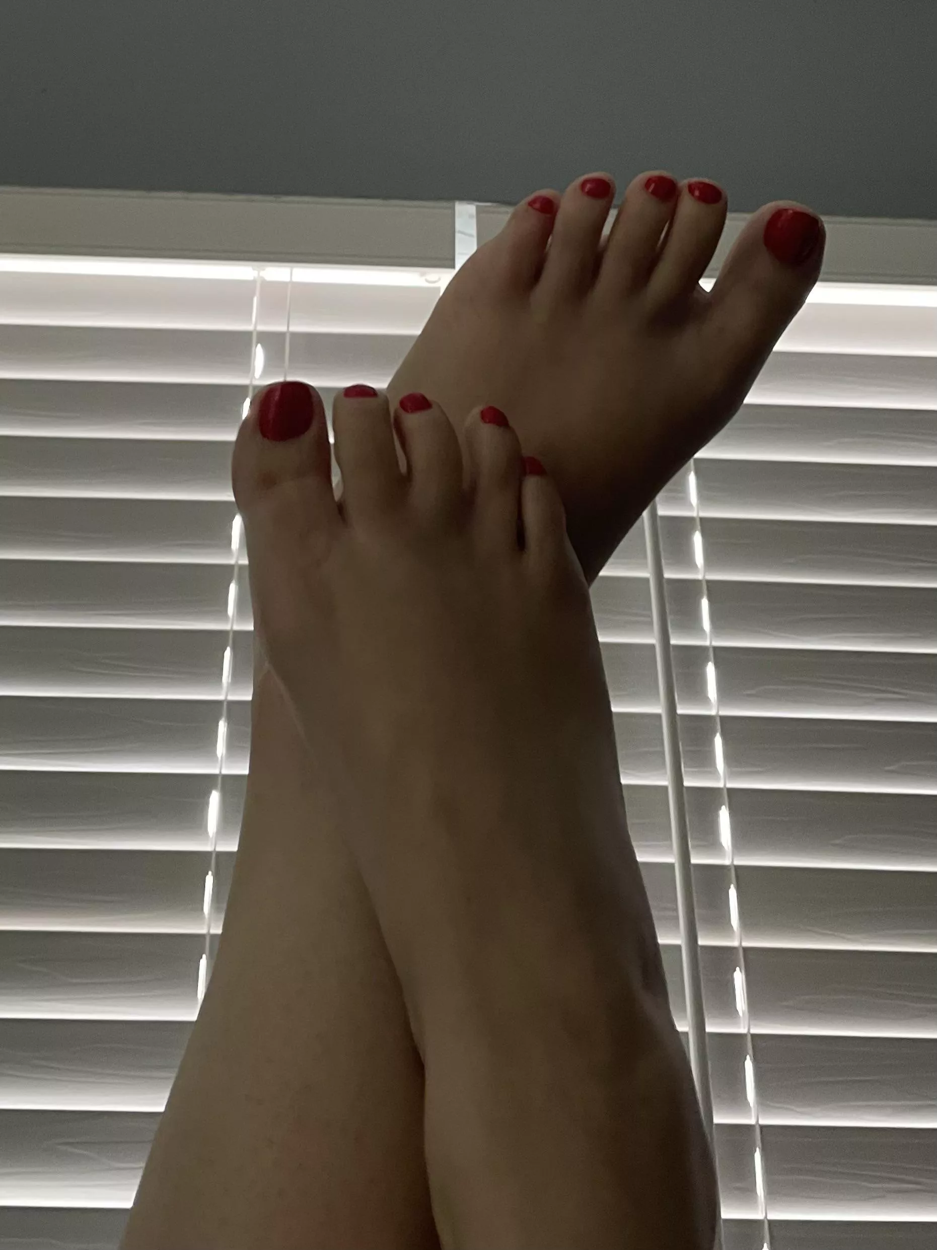 Who wants to worship my feet? posted by heretocomment21