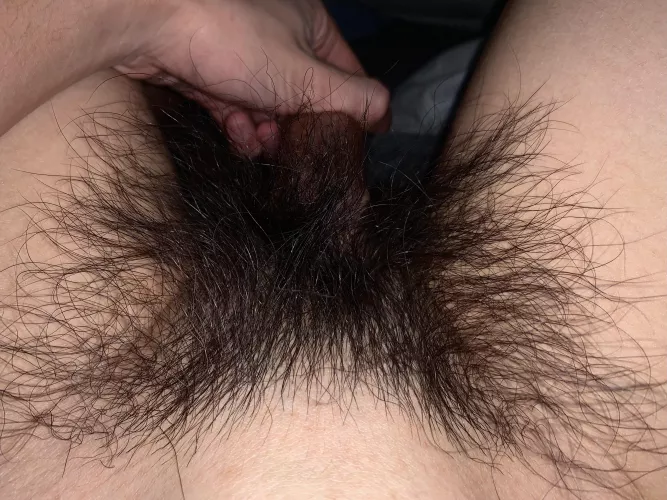 Who wants to worship these pubes? by HairyWildBush