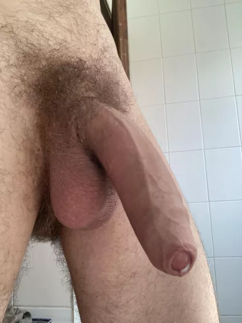 who will wake up the beast? by thxxxnks