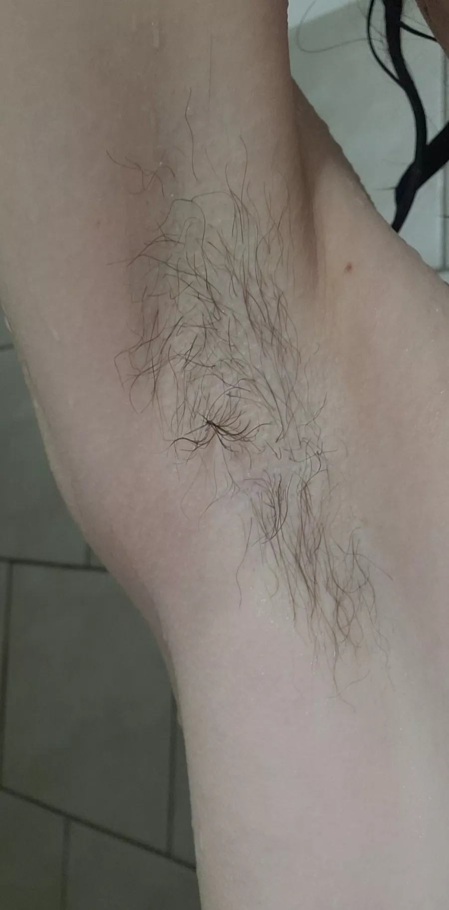 who would eat my armpit hair? posted by mycelium_mother_