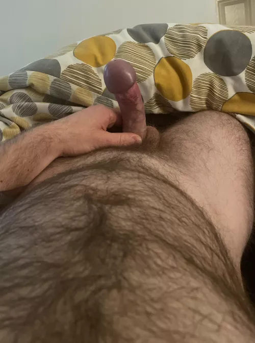 Who would join me in bed this morning? by ocjgr