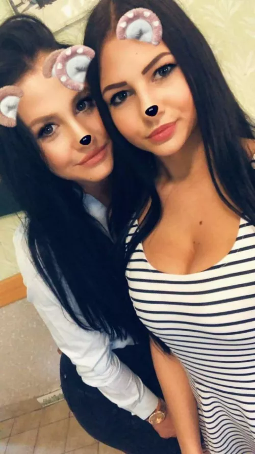 Who would you choose by hokimi