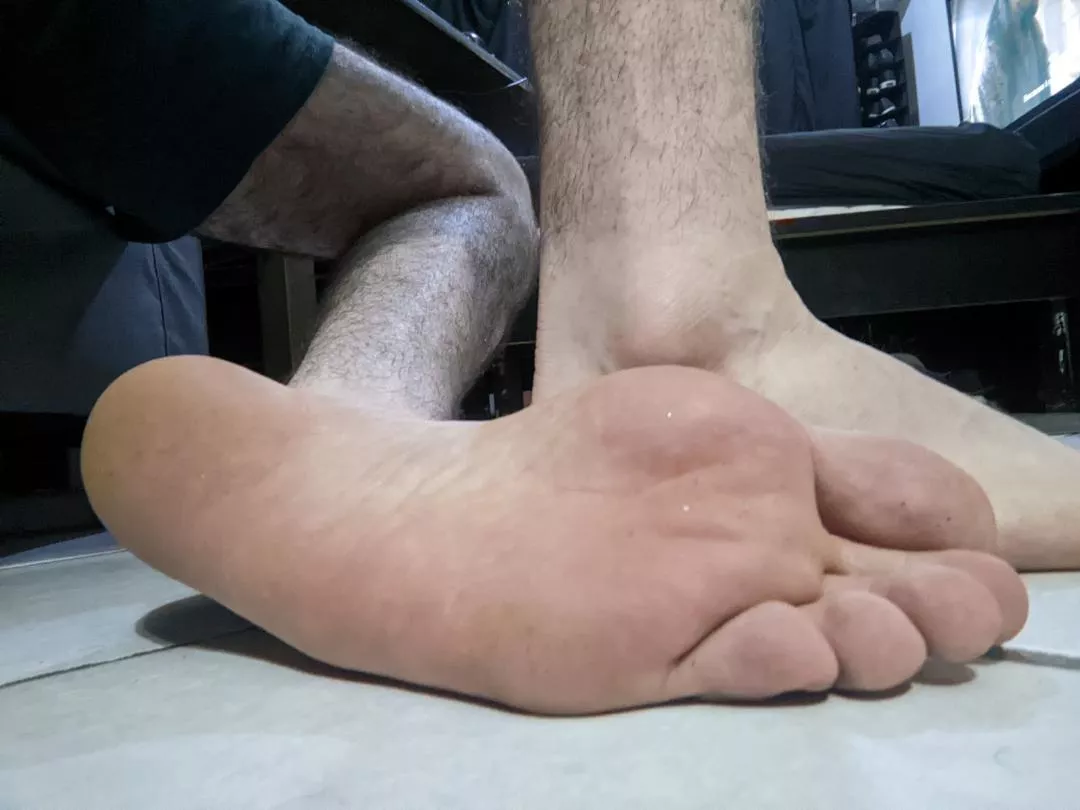 Who's gonna lick my sweaty feet after working out? posted by IndividualDetail