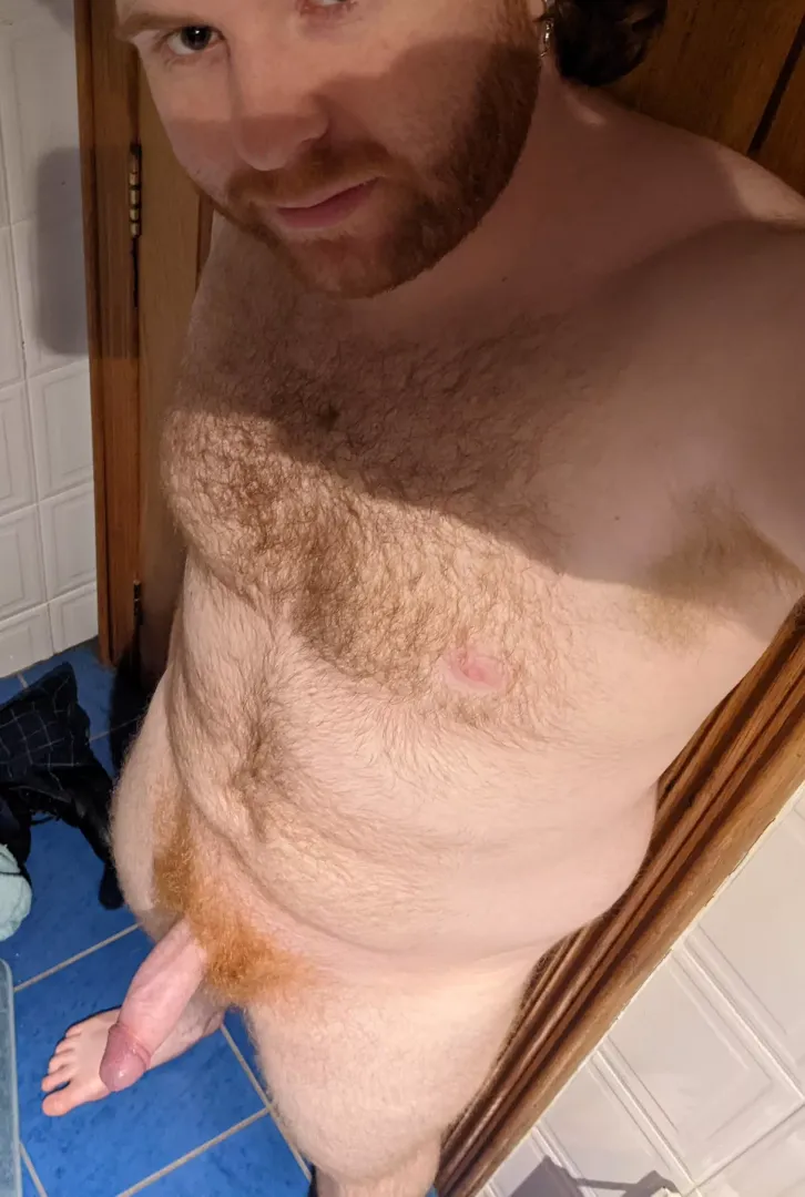 Who's ready to receive this ginger cock? by Playful-Network5221