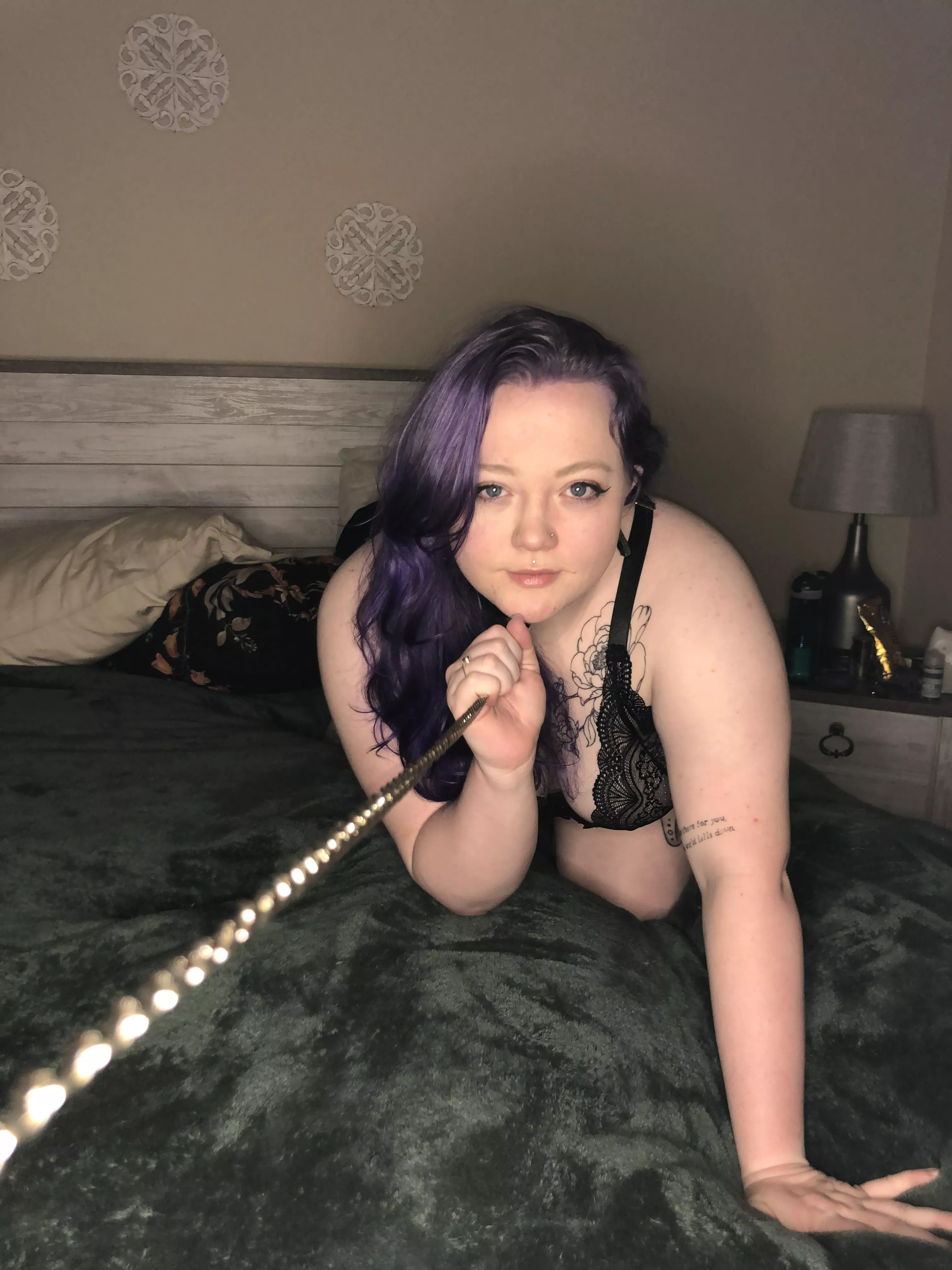 Who’s really in charge here? 😈 posted by toxiccandygirl