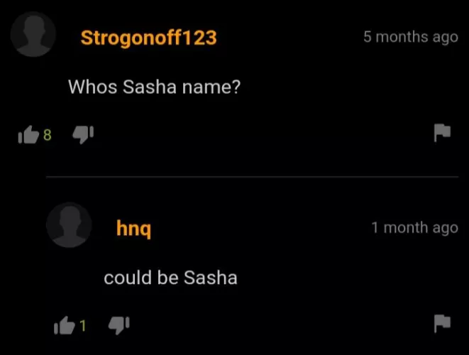 Who's Sasha? by YesTheGamer