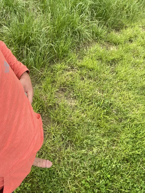 Why do my hikes always end up like this by averageguy6014