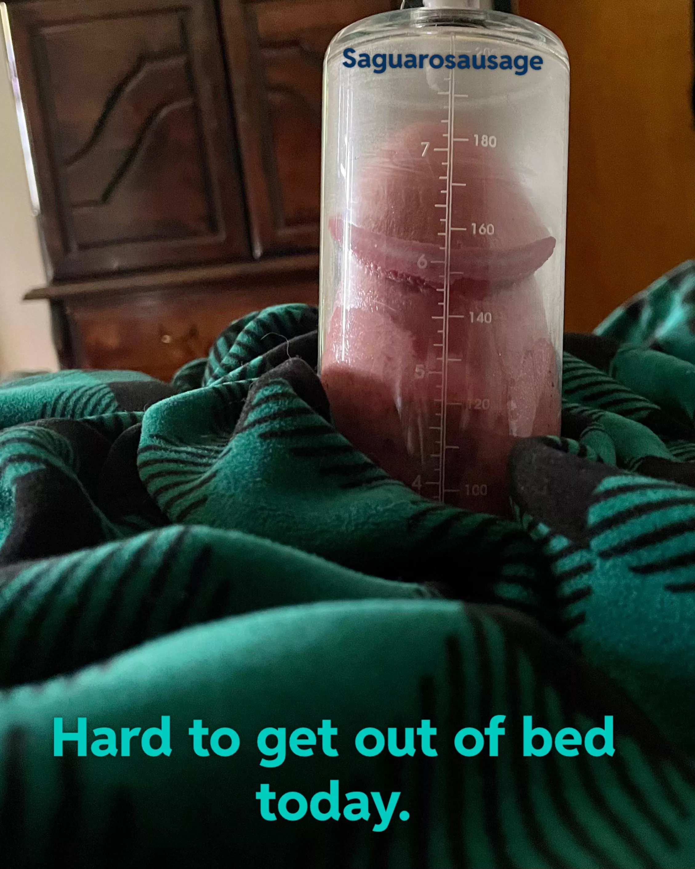 Why get out of bed? posted by saguarosausage