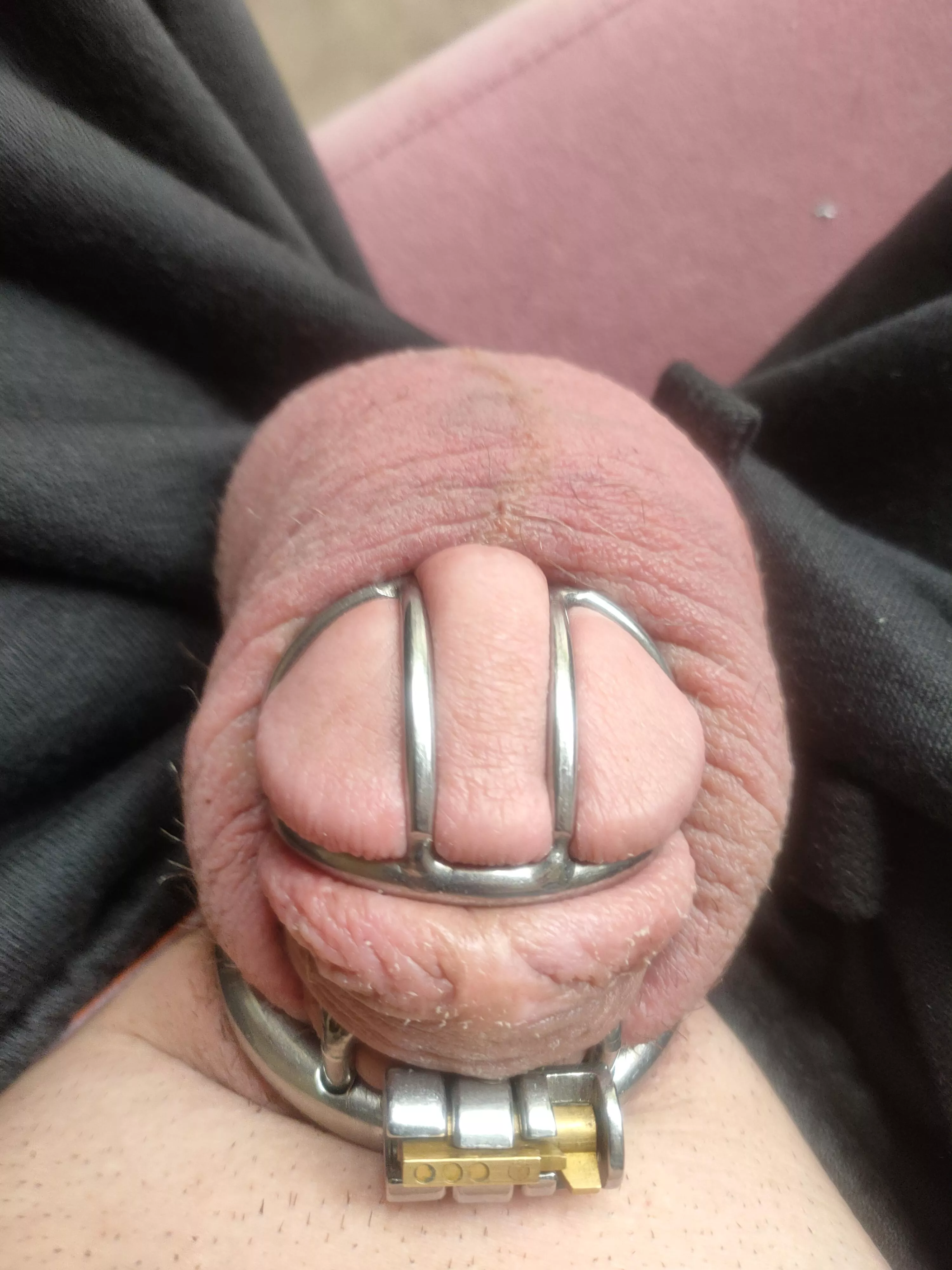 wife and I about to head out for the day she's just checking everything is where it should be. posted by shitsandgigssss