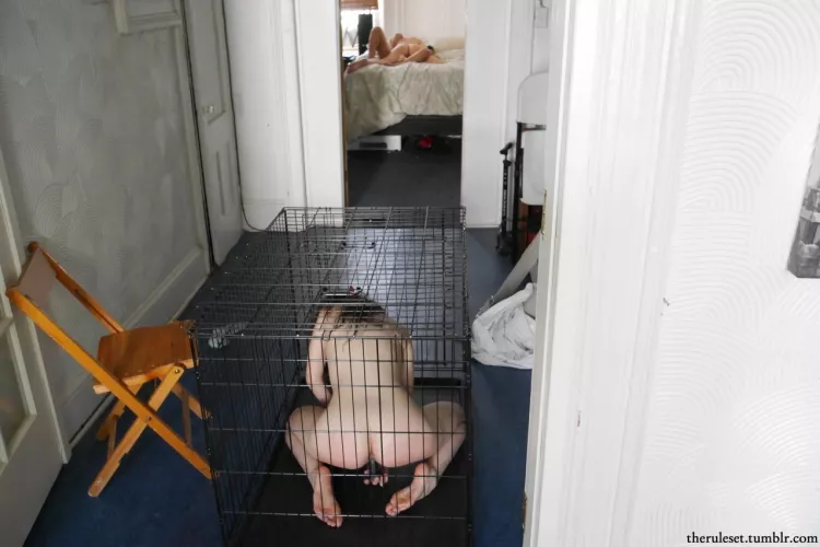 Wife locked in a cage, playing with a toy watching her husband fucking his mistress by ButtholeBabydoll