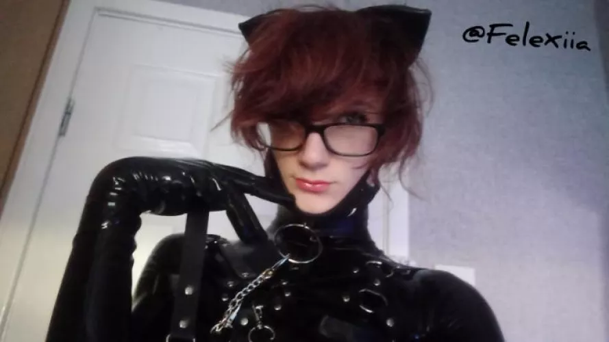 Wife Material? by Felexiia