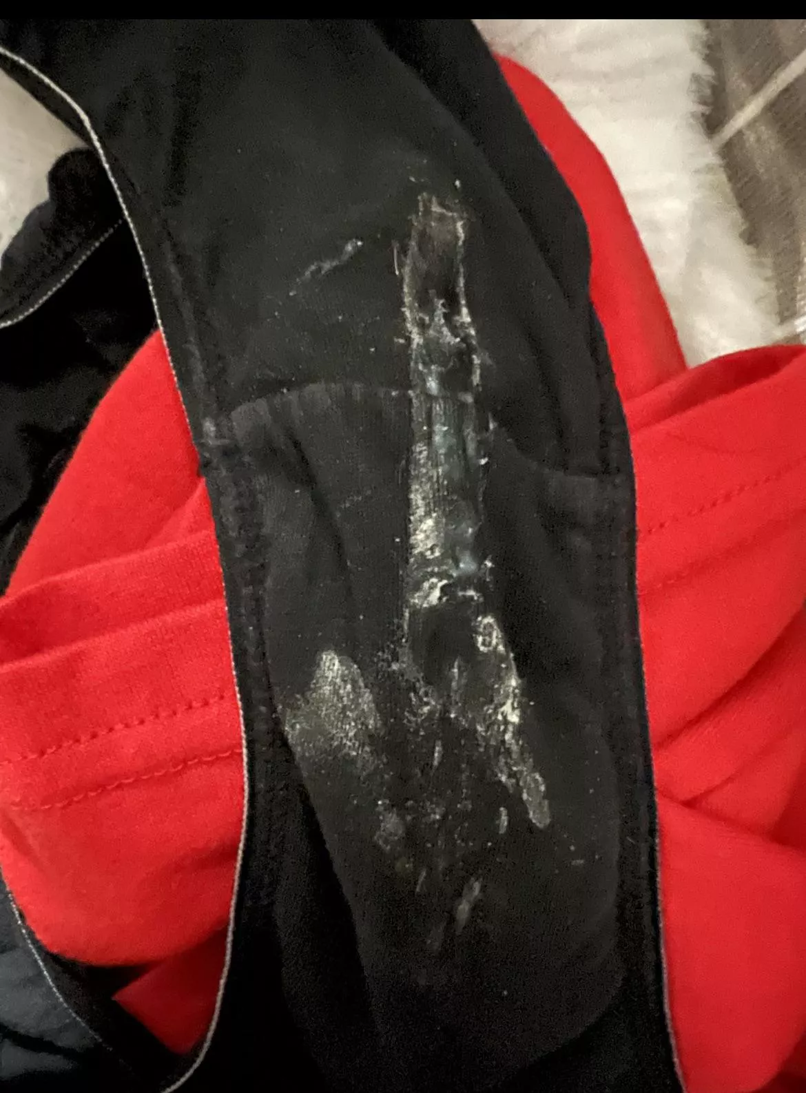 Wife must have been horny today 🍆 posted by Healthy_Alarm2565